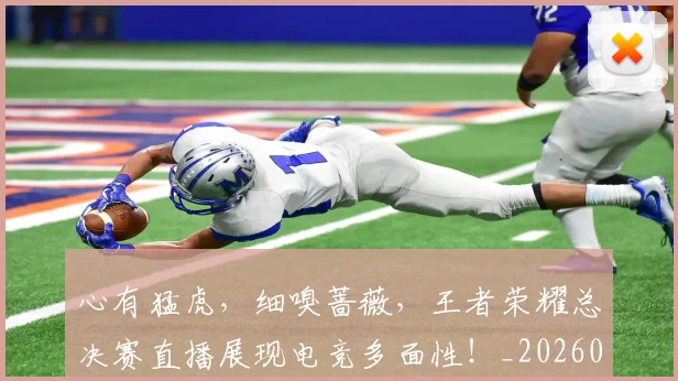 心有猛虎，细嗅蔷薇，王者荣耀总决赛直播展现电竞多面性！_20260704173933_20260722163116