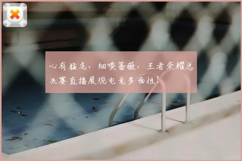 心有猛虎，细嗅蔷薇，王者荣耀总决赛直播展现电竞多面性！