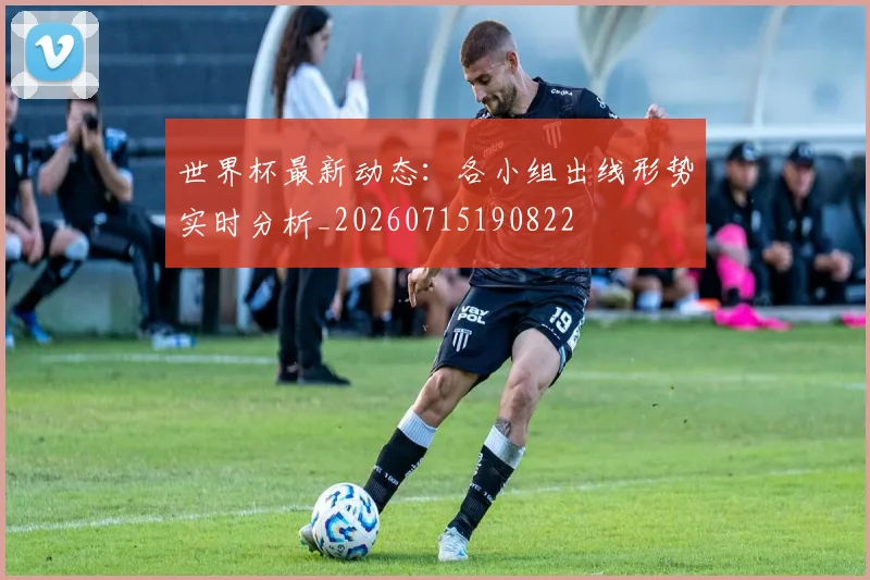 世界杯最新动态：各小组出线形势实时分析_20260715190822